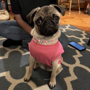 Fundraising Page: Candice Sylvia